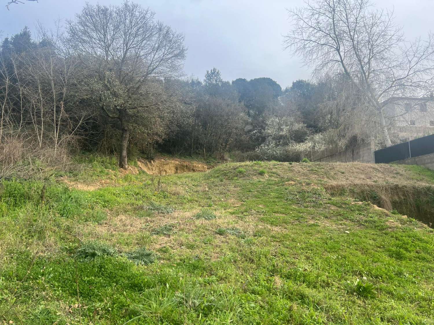 Terrain à vendre dans la Baronia del Montseny