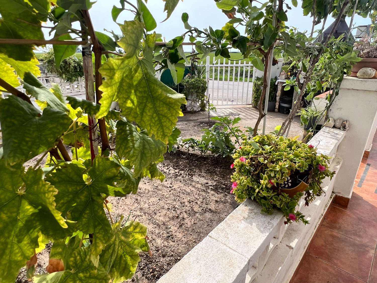 Casa a la venta