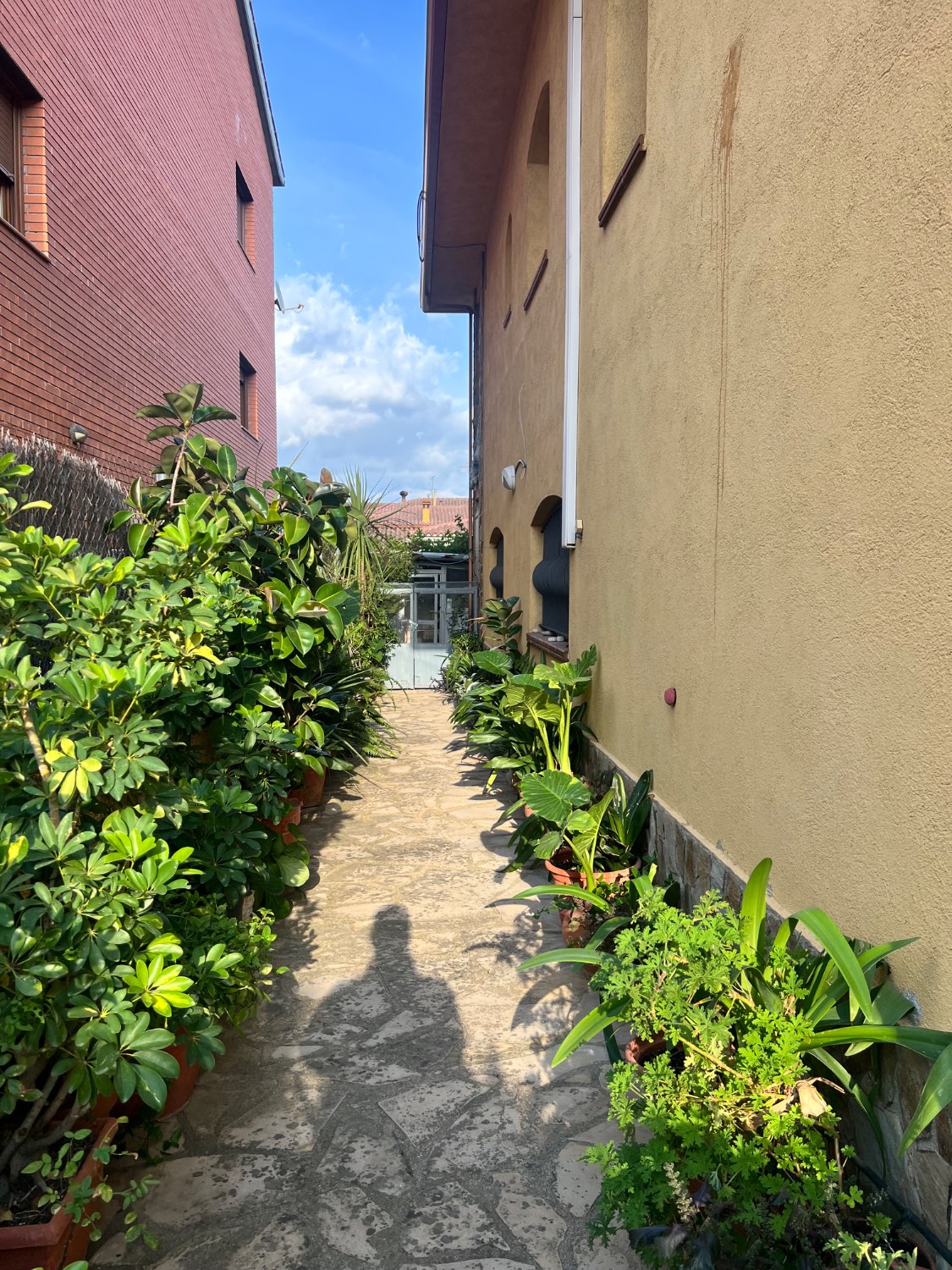 Venta de gran casa en Riells i Viabrea