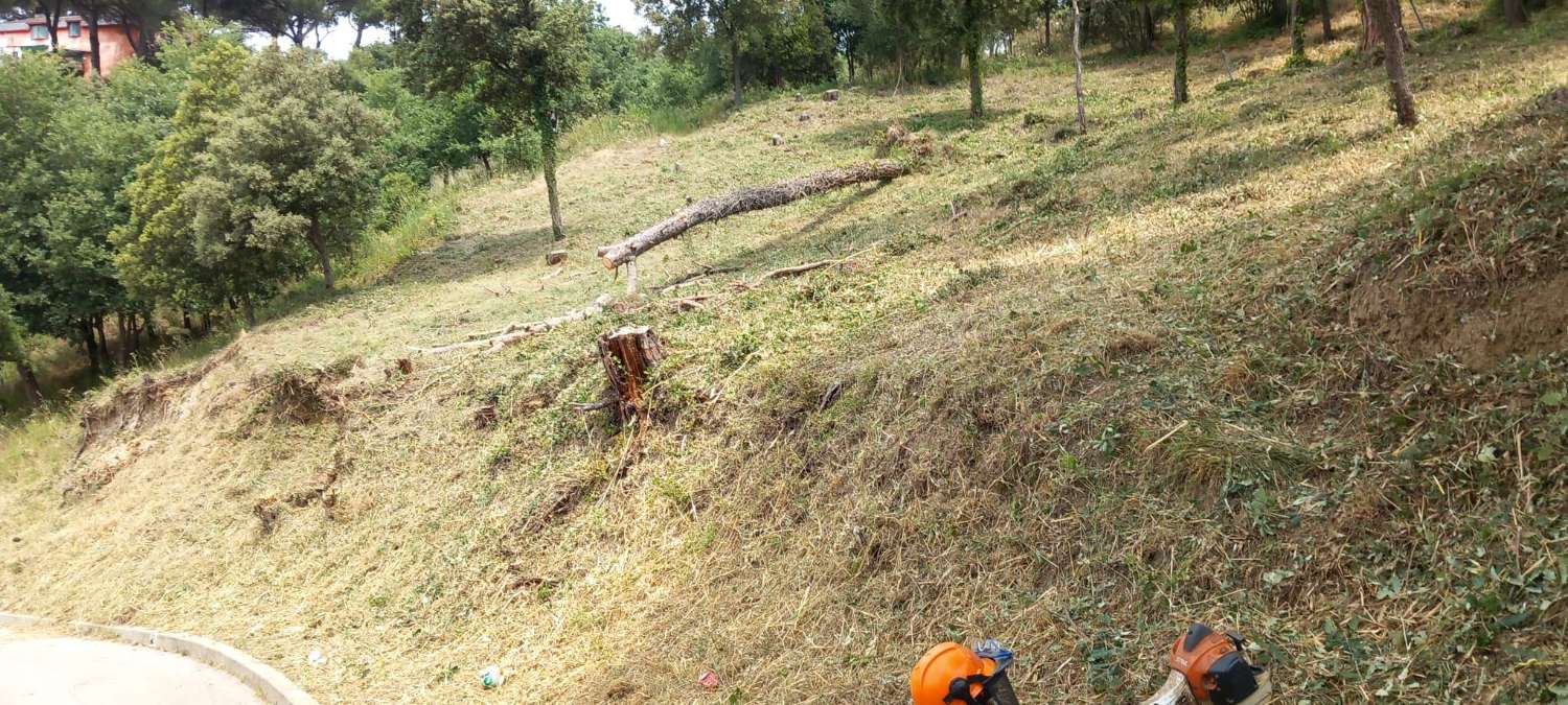 Venta de parcela en can bosc