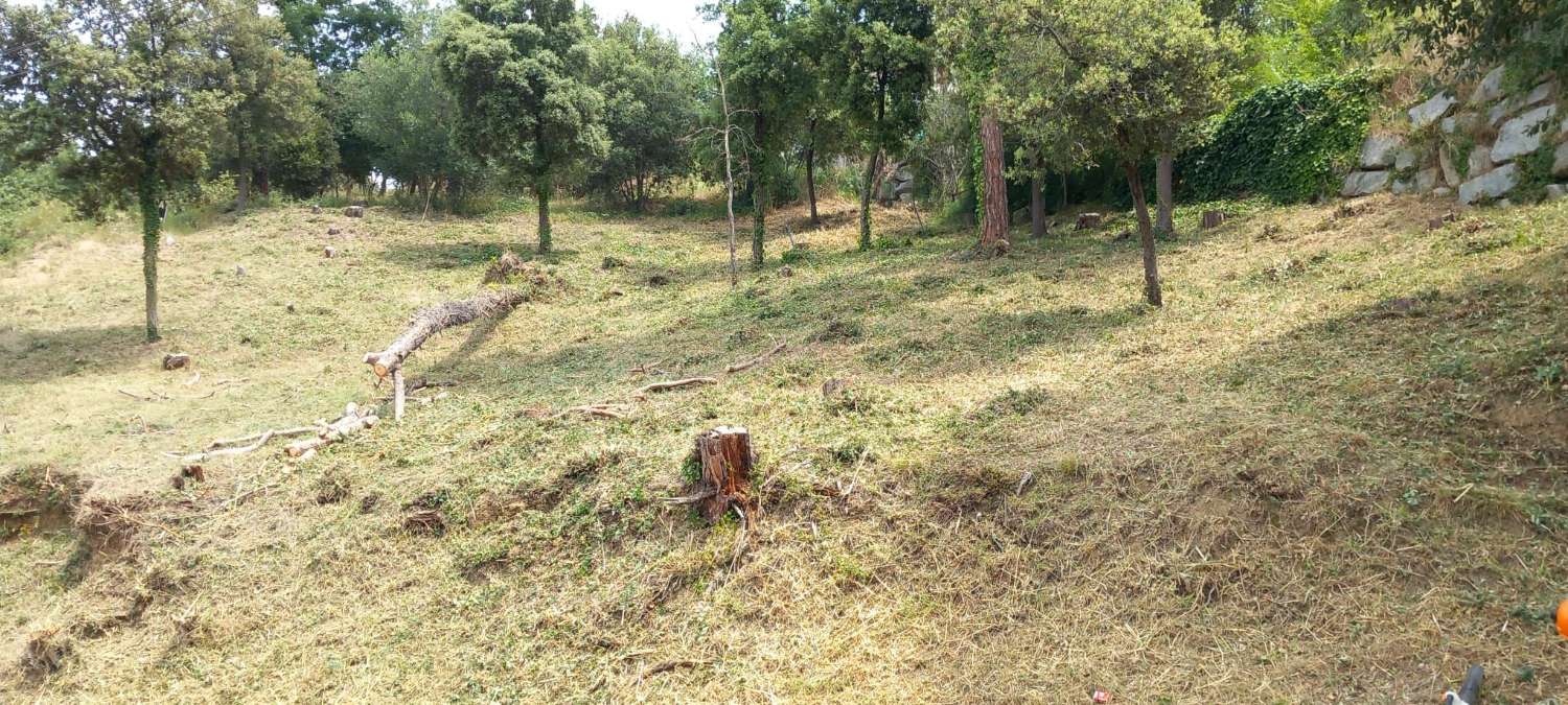 Venta de parcela en can bosc