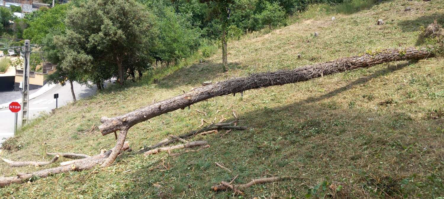 Venta de parcela en can bosc