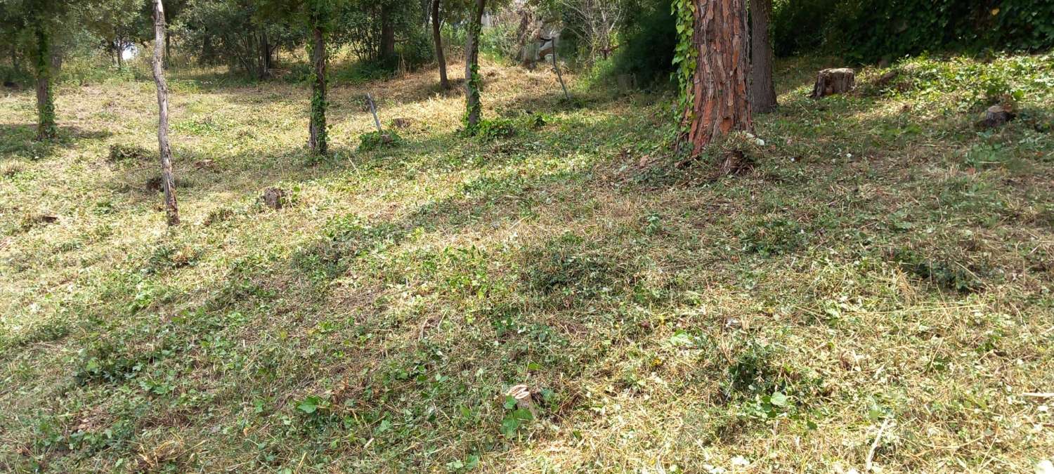 Venta de parcela en can bosc
