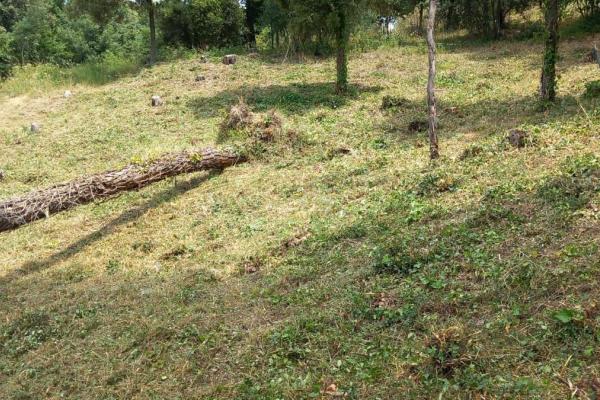 Venta de parcela en can bosc